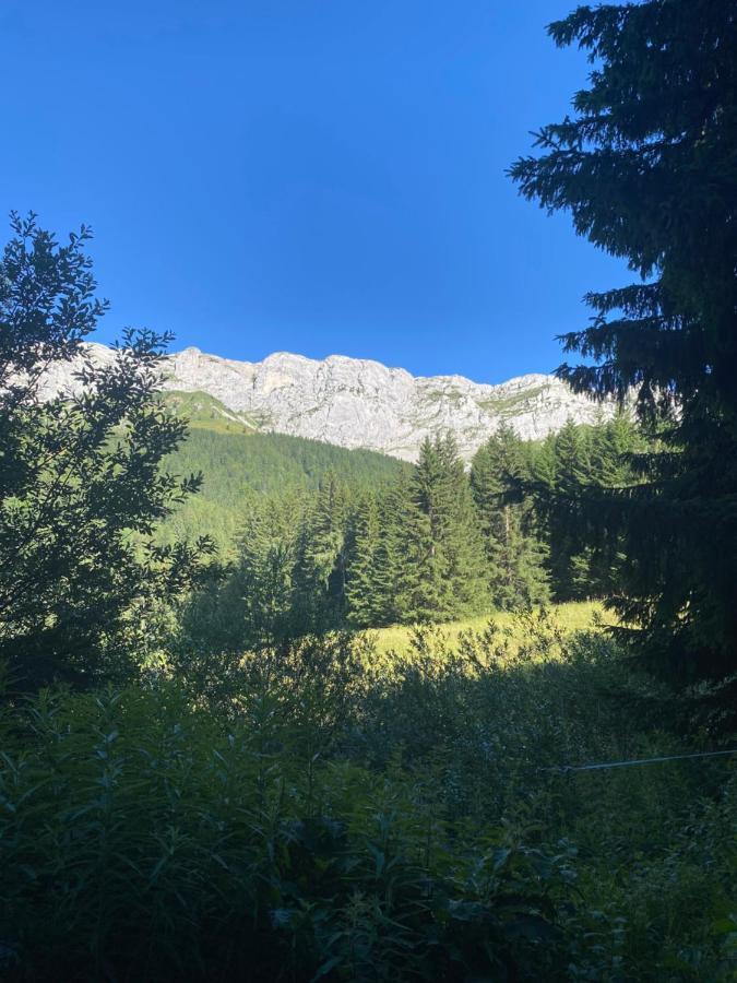 Cretes Du Vercors Vue Magnifique Вилар-де-Лан Екстериор снимка